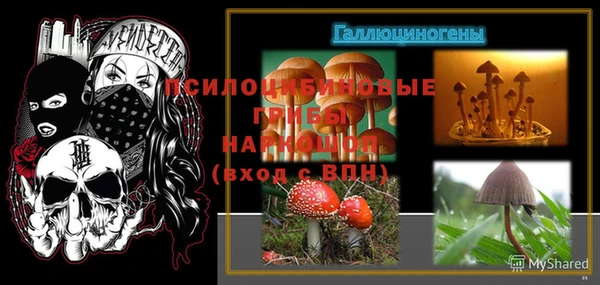 таблы Верея