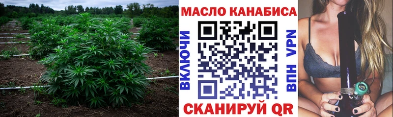Купить закладки  Кудымкар  Дистиллят ТГК гашишное масло 