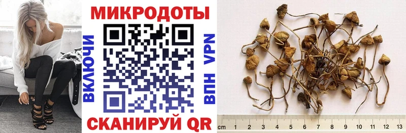 Купить закладки  Кудымкар  Псилоцибиновые грибы Magic Shrooms 
